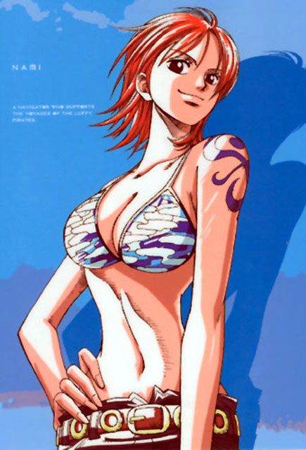one piece rencontre avec nami