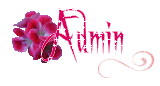 Admin fondatrice Admin fondatrice