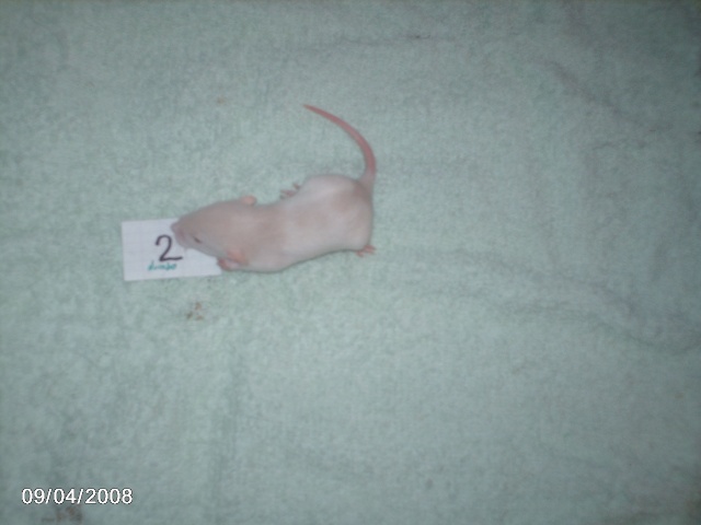 j16_1510.jpg