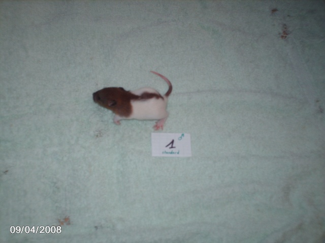 j16_510.jpg