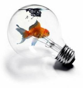 poisson