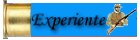 Membro Experiente Membro Experiente