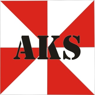 AKS- Ass Kicking Squad