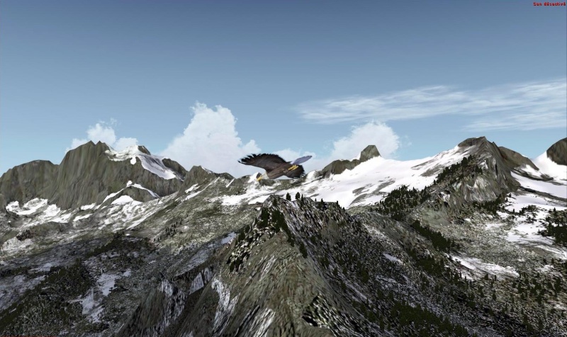 eagle_11.jpg