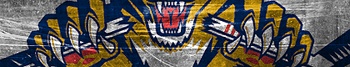 Florida Panthers