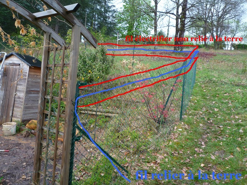 clôture électrique anti-chat