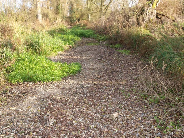The dry bed of the River Kennet at Manton