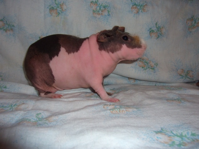 ""