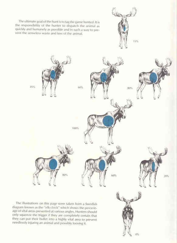 Orignal anatomie