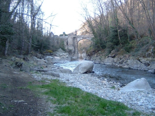 dscf0010.jpg