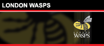 wasps-10.gif