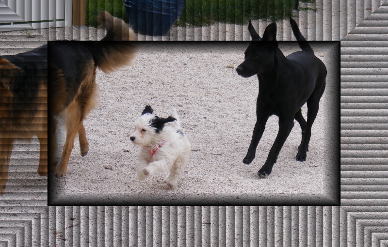 Je viens de rencontrer quelqu'un