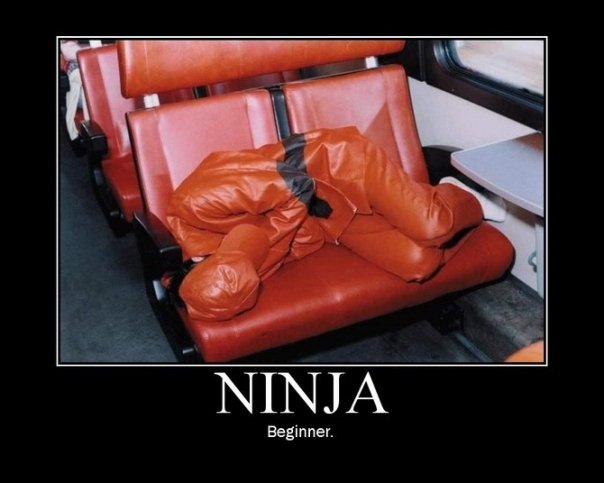 ninja10.jpg