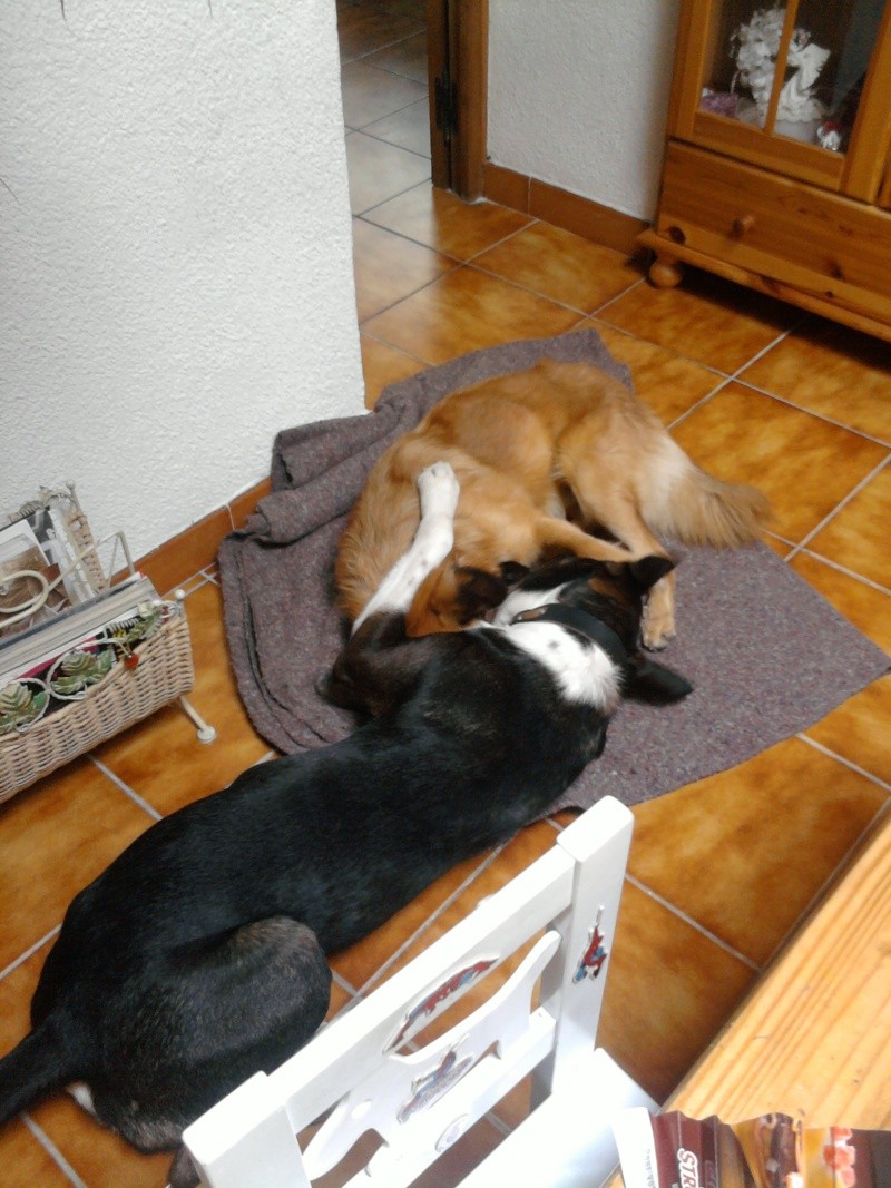 photo-11.jpg