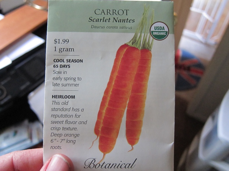 carrot11.jpg