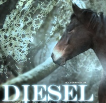 diesel10.jpg