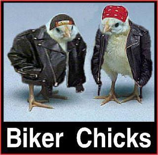 biker_10.jpg