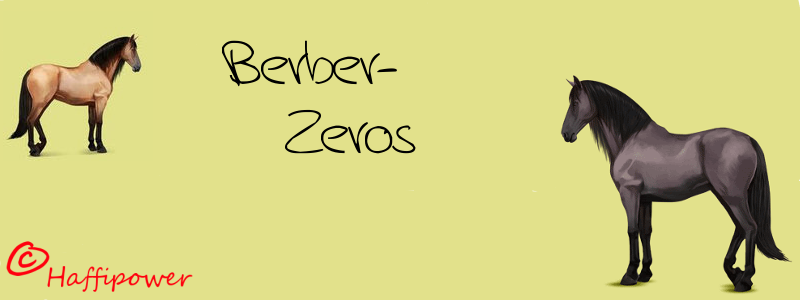 berber10.png