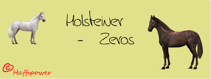 holste10.png