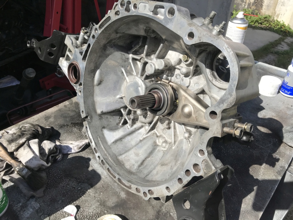 d2f06410.jpg